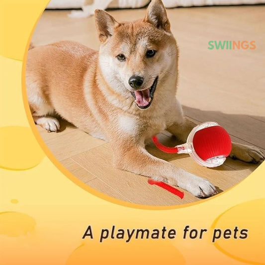 Interactive Automatic Rolling Pet Toy
