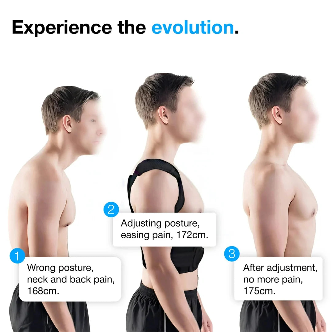 Posture Corrector Belt For Men & Women